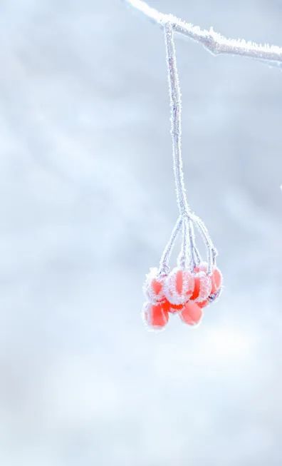 冬至養(yǎng)生，補(bǔ)對(duì)一天，體順一年！